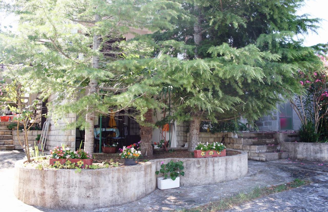 Apartments With A Parking Space Murter - 5103 Betina  Dış mekan fotoğraf